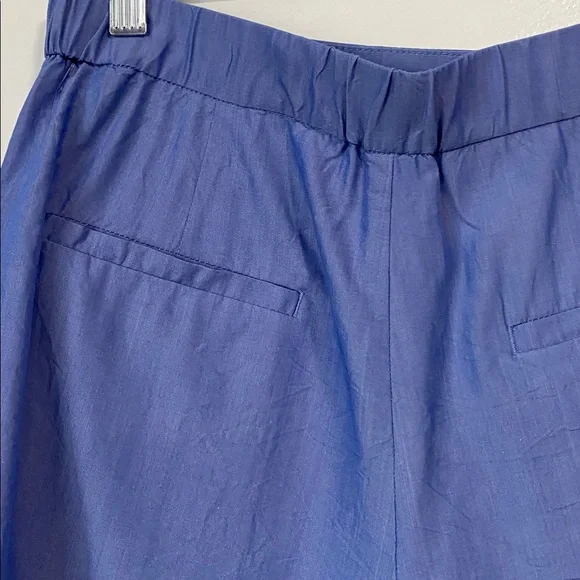 Banana Republic silk blend Light Blue Women's Shorts size 8 - Picture 5 of 10
